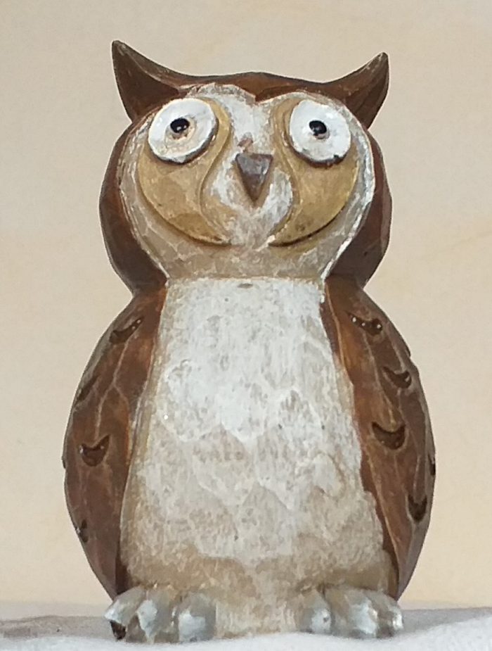Chouette – Image 2