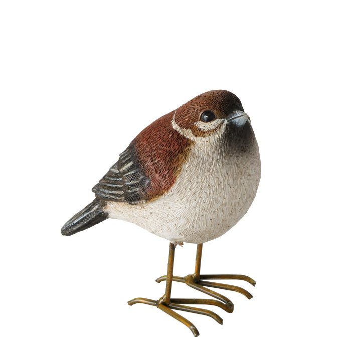 Oiseau – Image 2