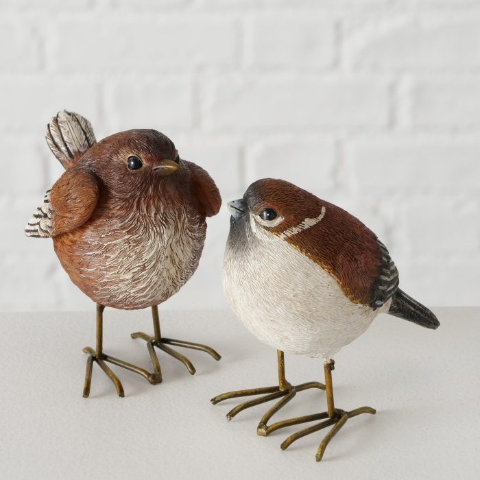 Oiseau – Image 3