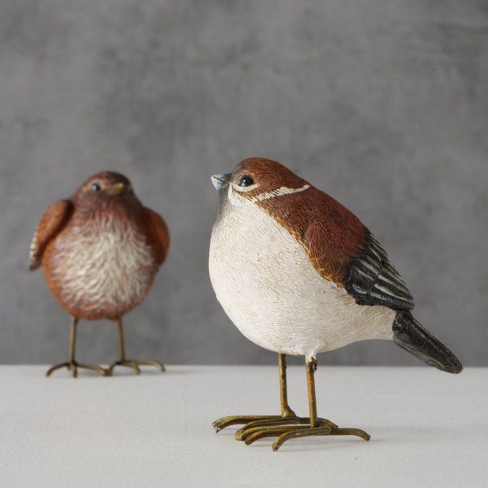 Oiseau – Image 4