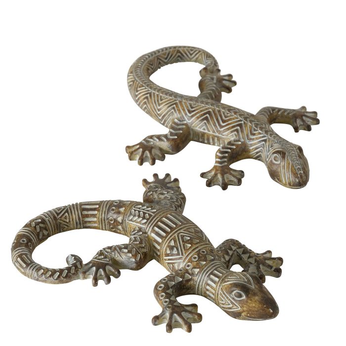 Salamandre – Image 2