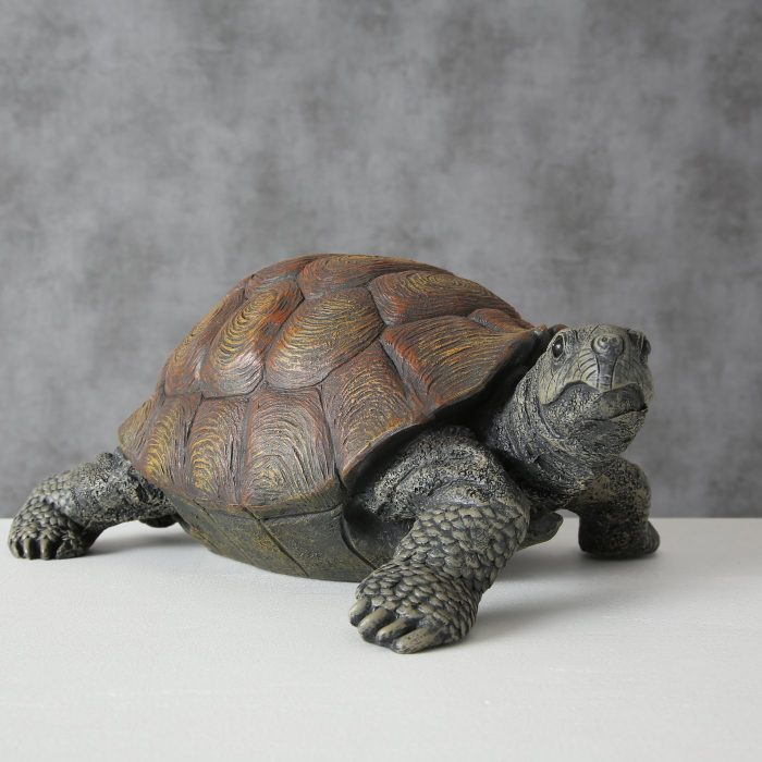 Tortue