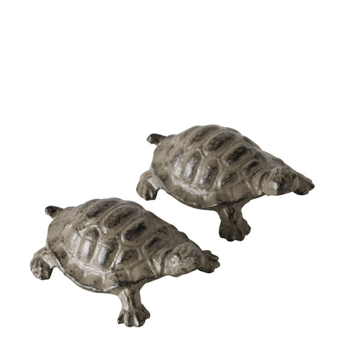 Tortue