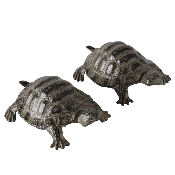 Tortue