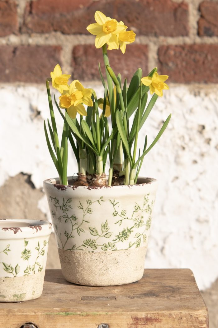 Cache-pot – Image 2