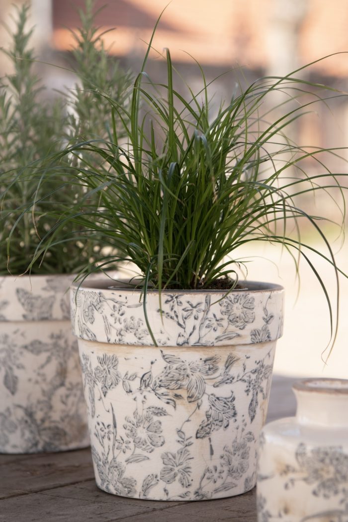 Cache-pot – Image 2