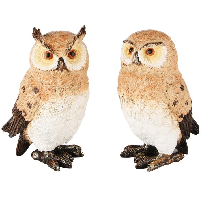 Hibou – Image 2