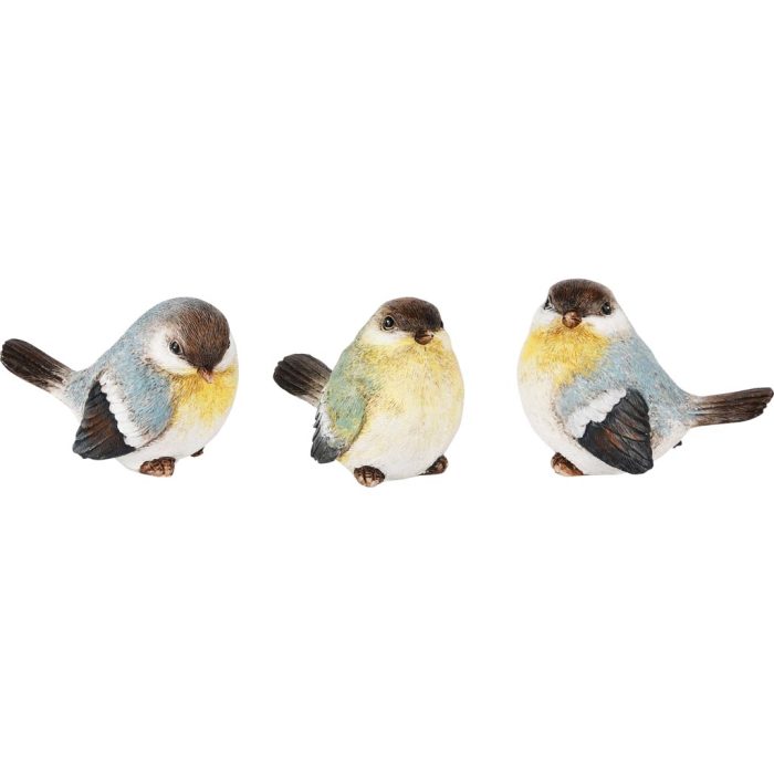 Oiseau – Image 2