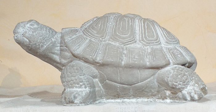 Tortue