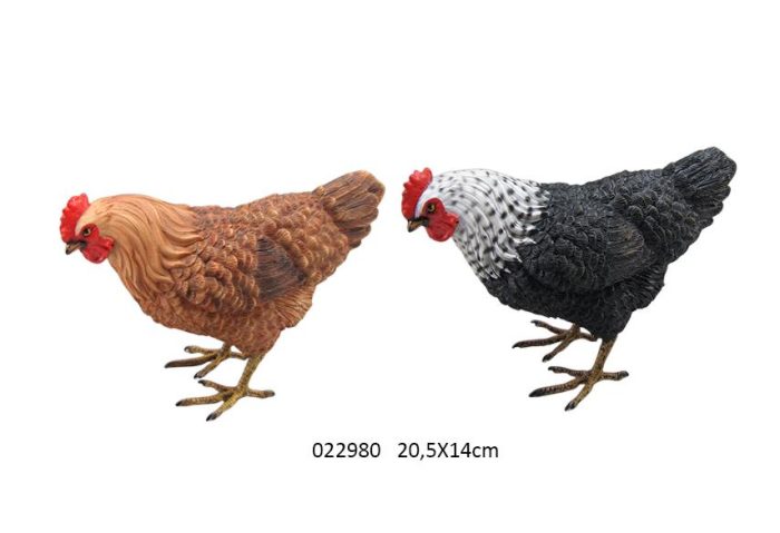 Poule