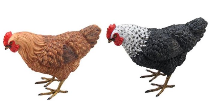 Poule – Image 2