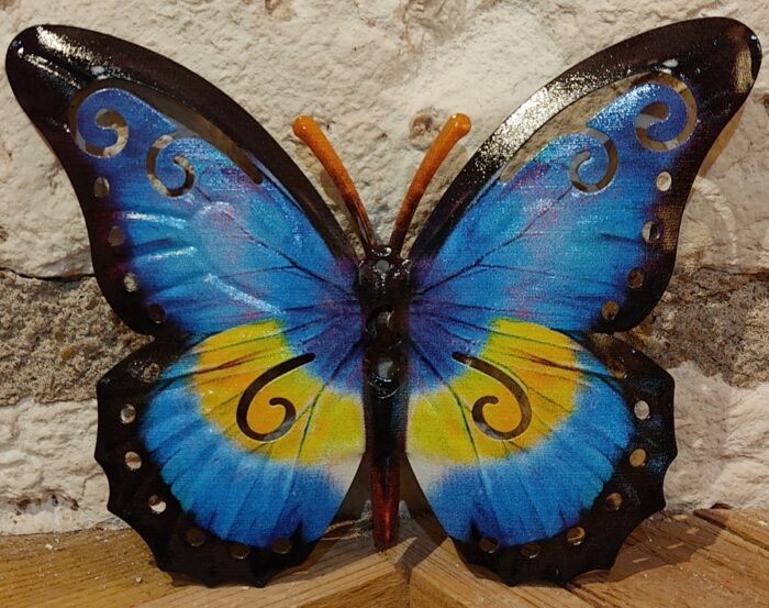 Papillon 17 cm