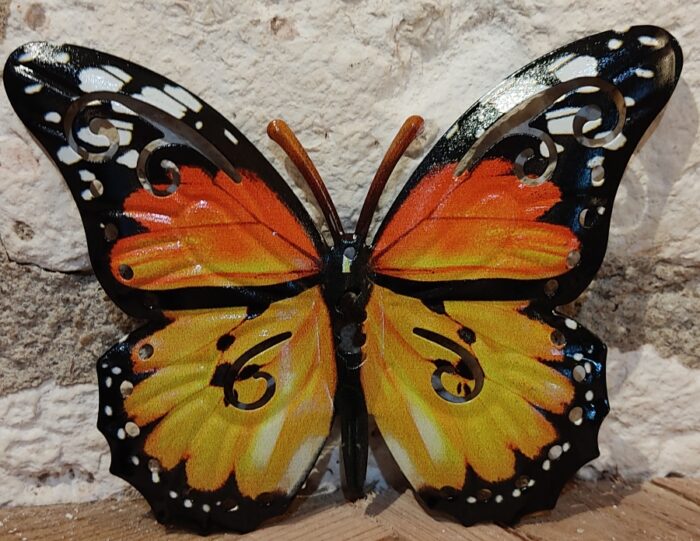 Papillon 17 cm