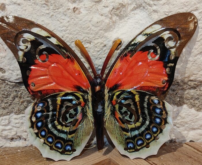 Papillon 17 cm