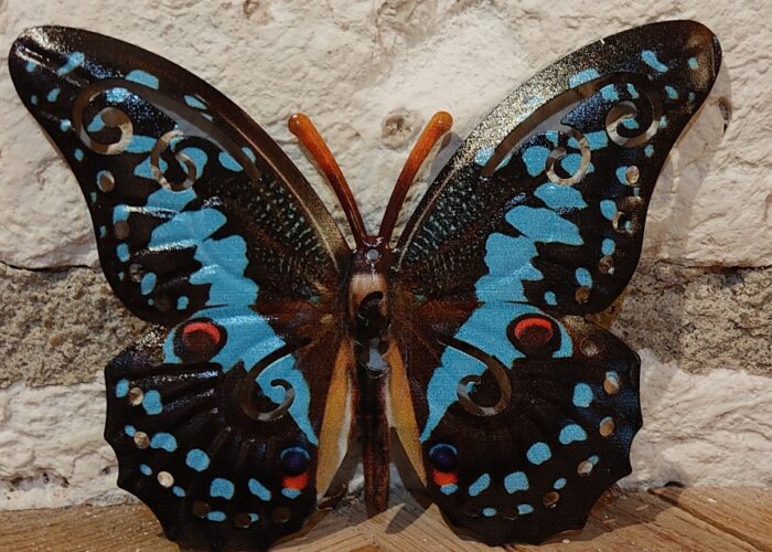 Papillon 17 cm
