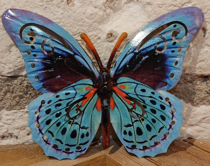 Papillon 17 cm