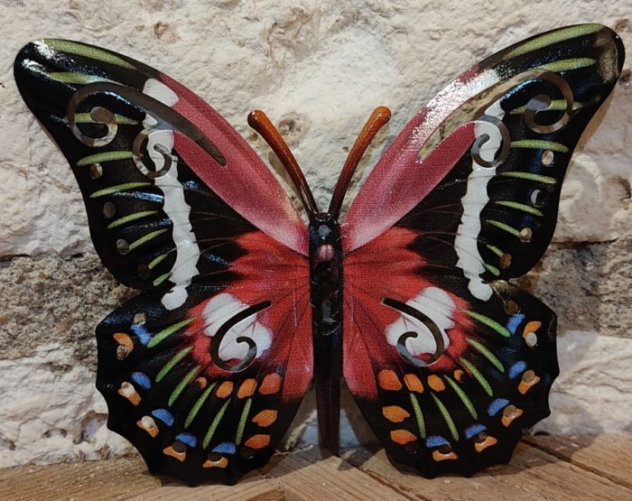 Papillon 17 cm