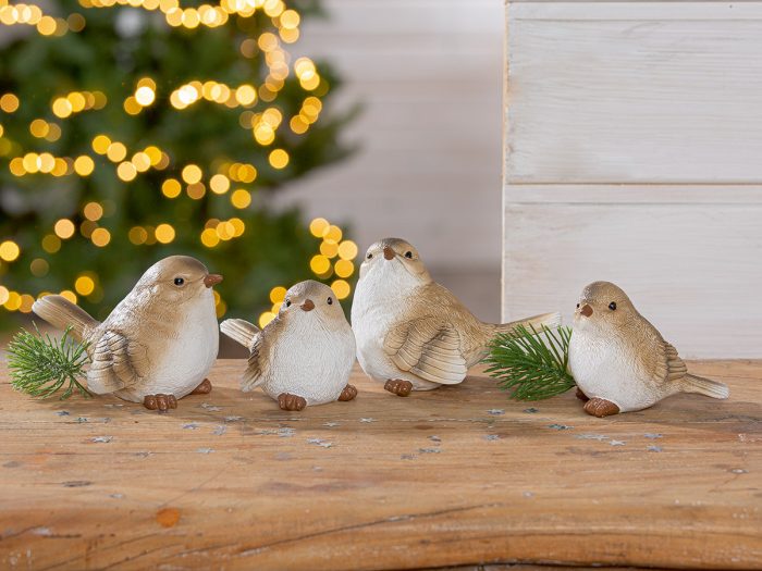 Oiseau
