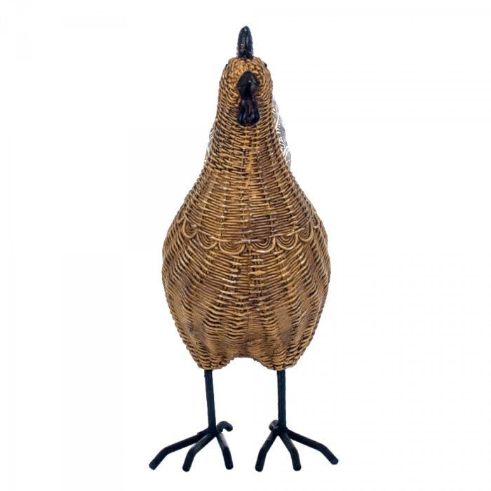Coq – Image 2