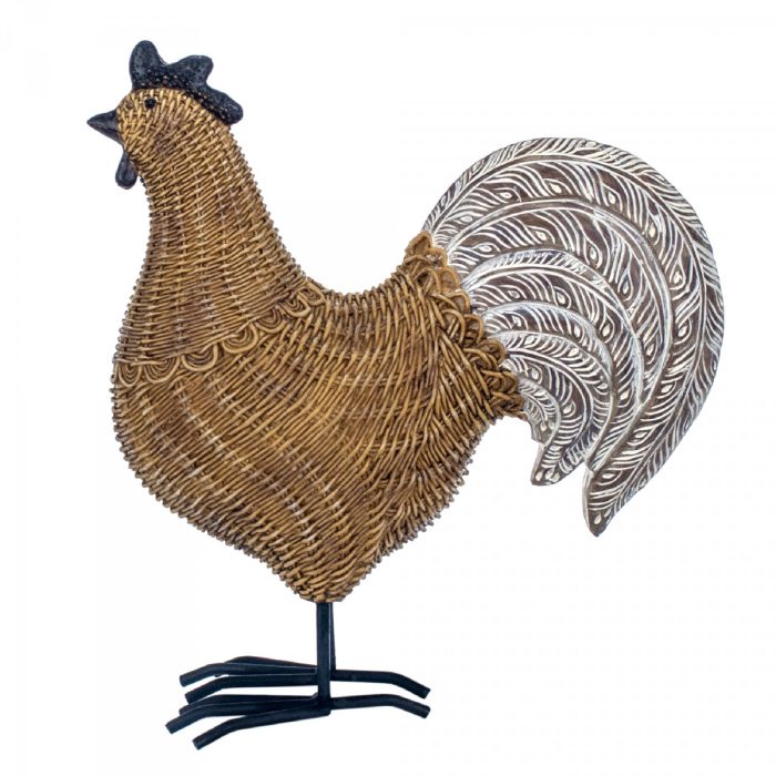 Coq – Image 3