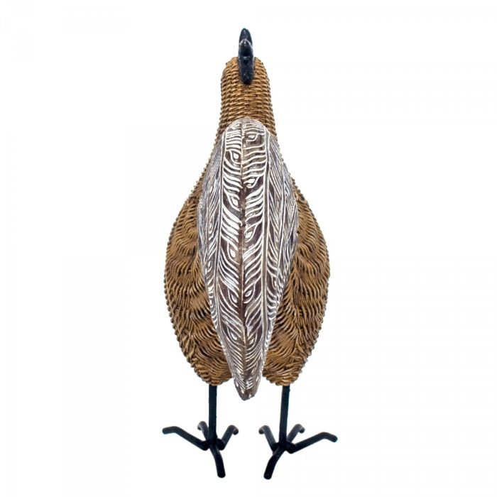 Coq – Image 4