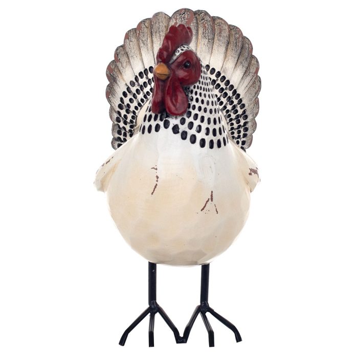 Coq – Image 2