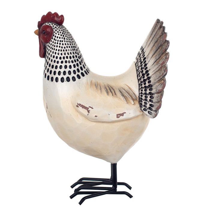 Coq – Image 3