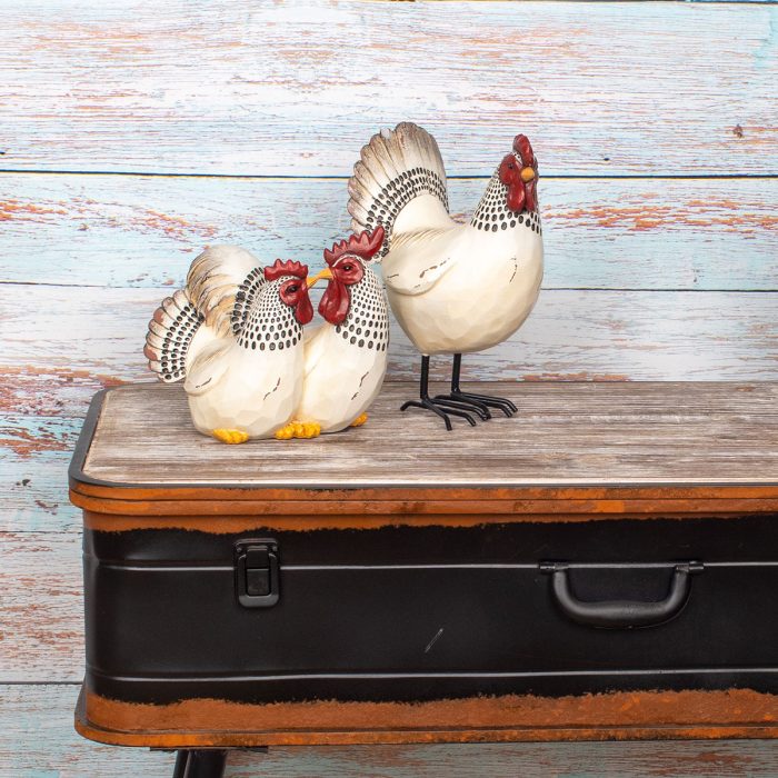 Coq – Image 5