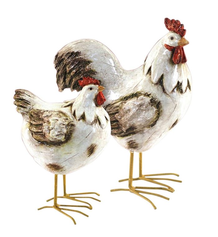 Coq – Image 2