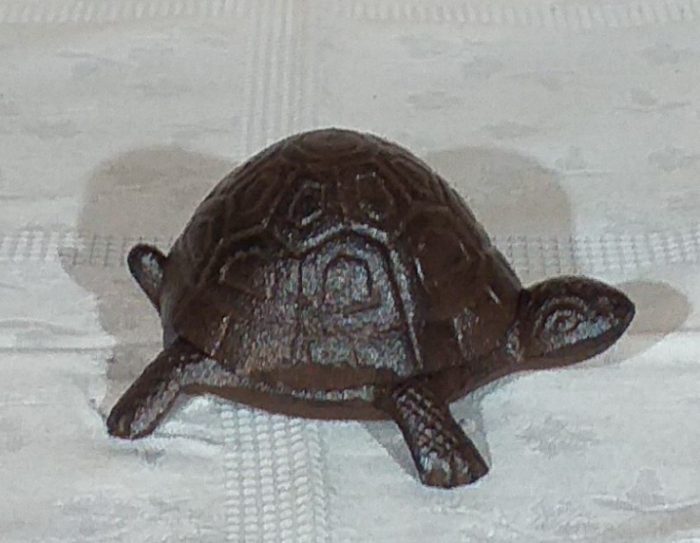 Tortue