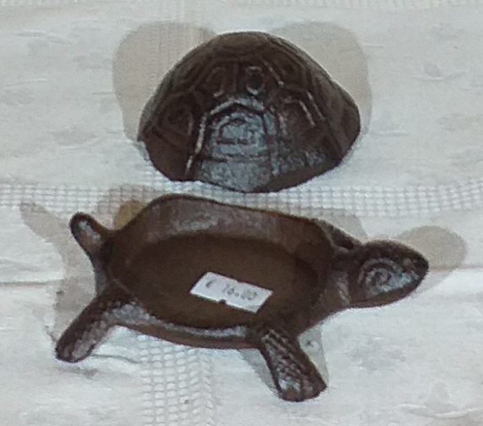 Tortue – Image 2