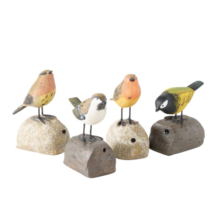 oiseau siffleur – Image 4