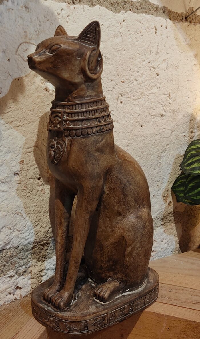 Chat égyptien – Image 3