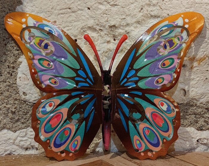 Papillon 17 cm