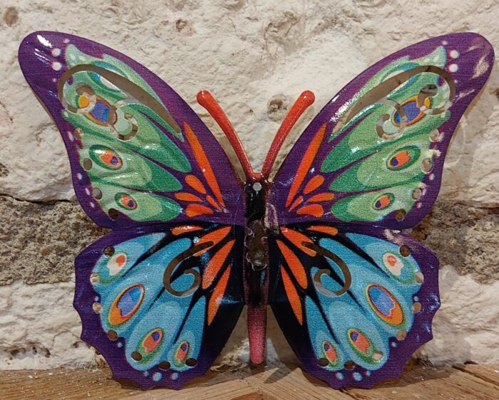 Papillon 17 cm