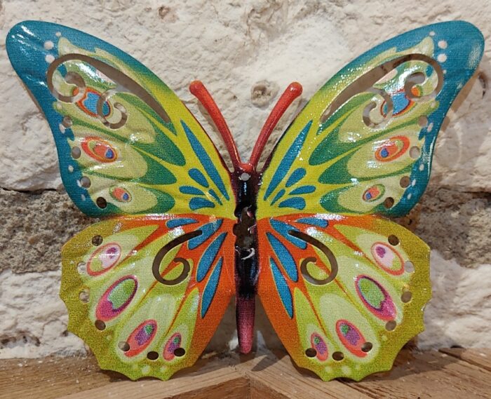Papillon 17 cm