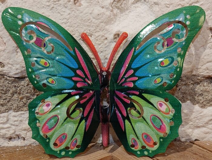 Papillon 24 cm