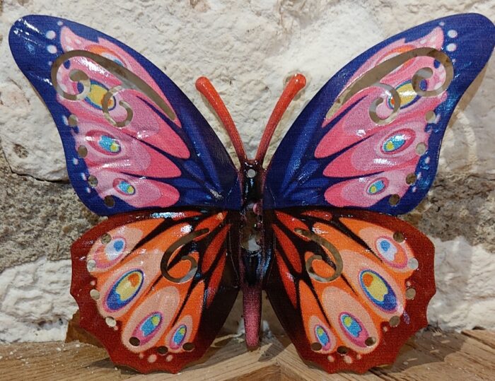 Papillon 17 cm
