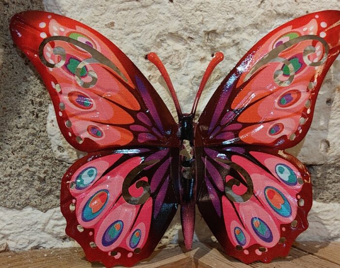 Papillon 24 cm
