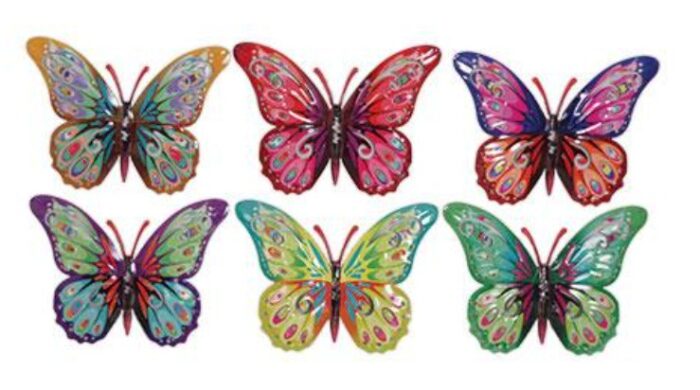Papillon 17 cm – Image 2