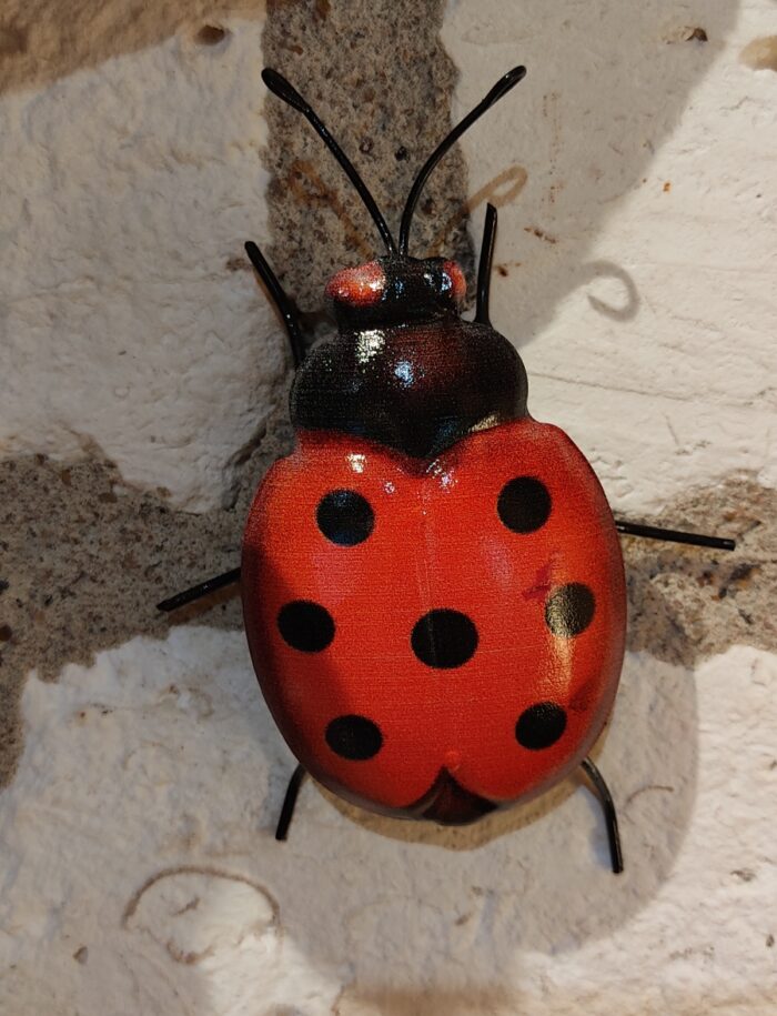 Coccinelle
